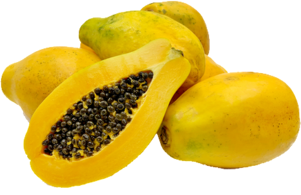 Sinta F1 papaya Variety from Royal Seed