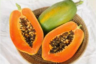 Vega F1 papaya Variety from Royal Seed