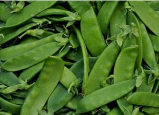 Sweet Horizon pea variety from Royal Seed