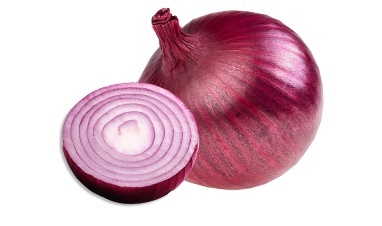 Royal Red Super F1  Variety from Royal Seed’s Latest Range