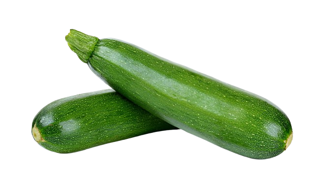Cash Machine F1 Cucumber variety from Royal Seed
