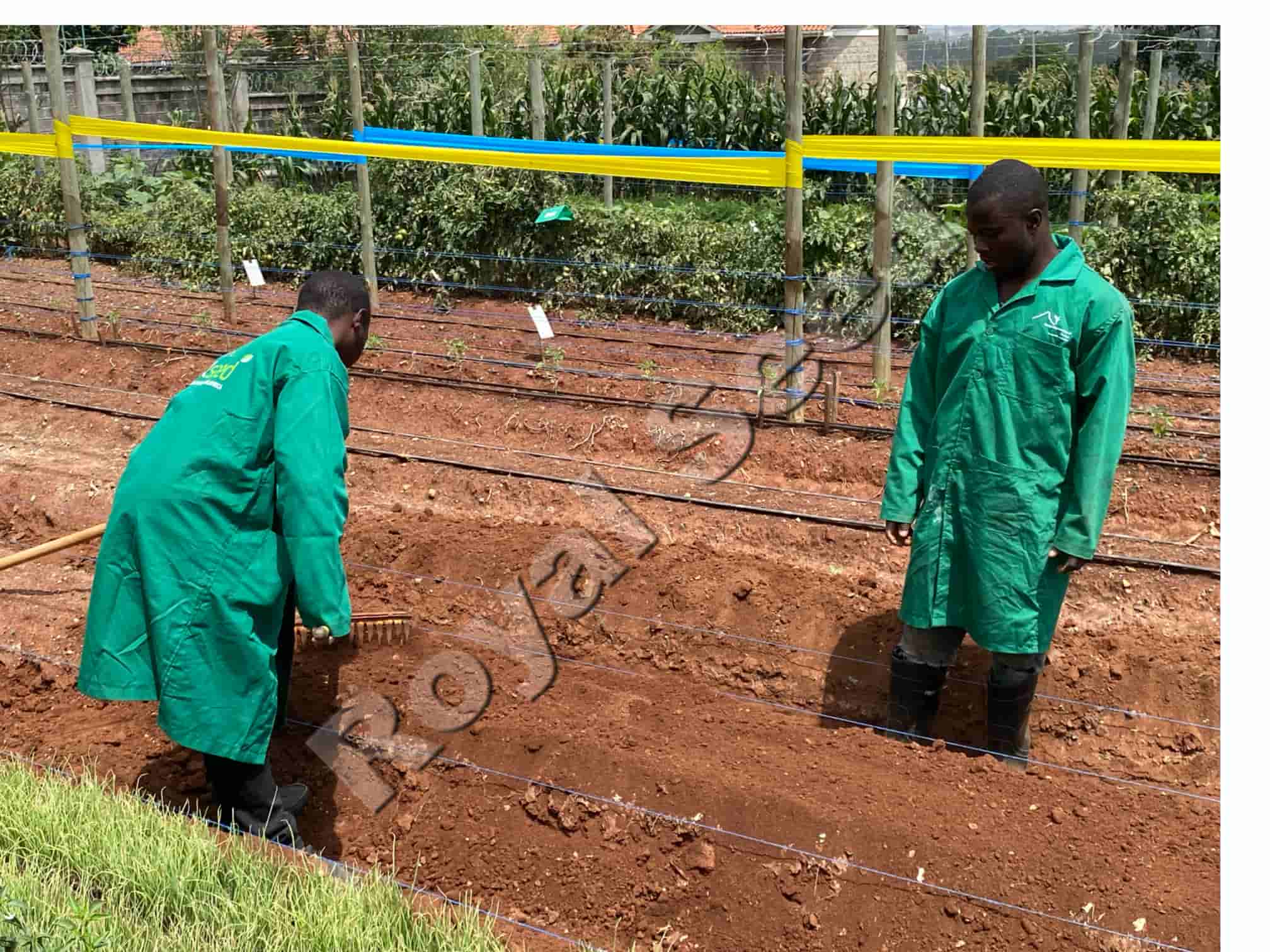 Farmer being at Royal Seed Complex, Center of Excellence Trail Farm