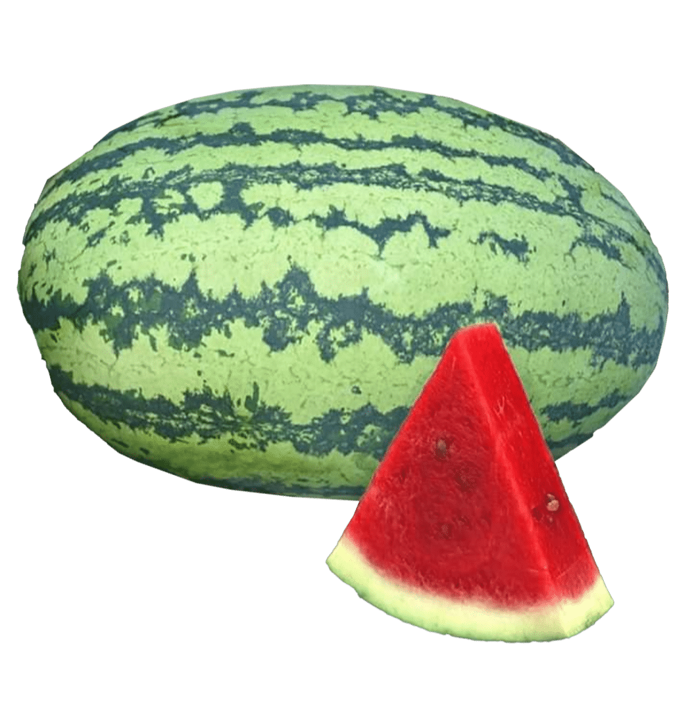 Asali F1 watermelon variety from Royal Seed