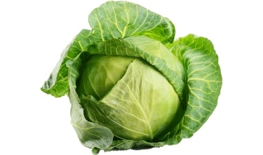 Fresh Cabbage – High-Quality Vegetable from Royal Seed