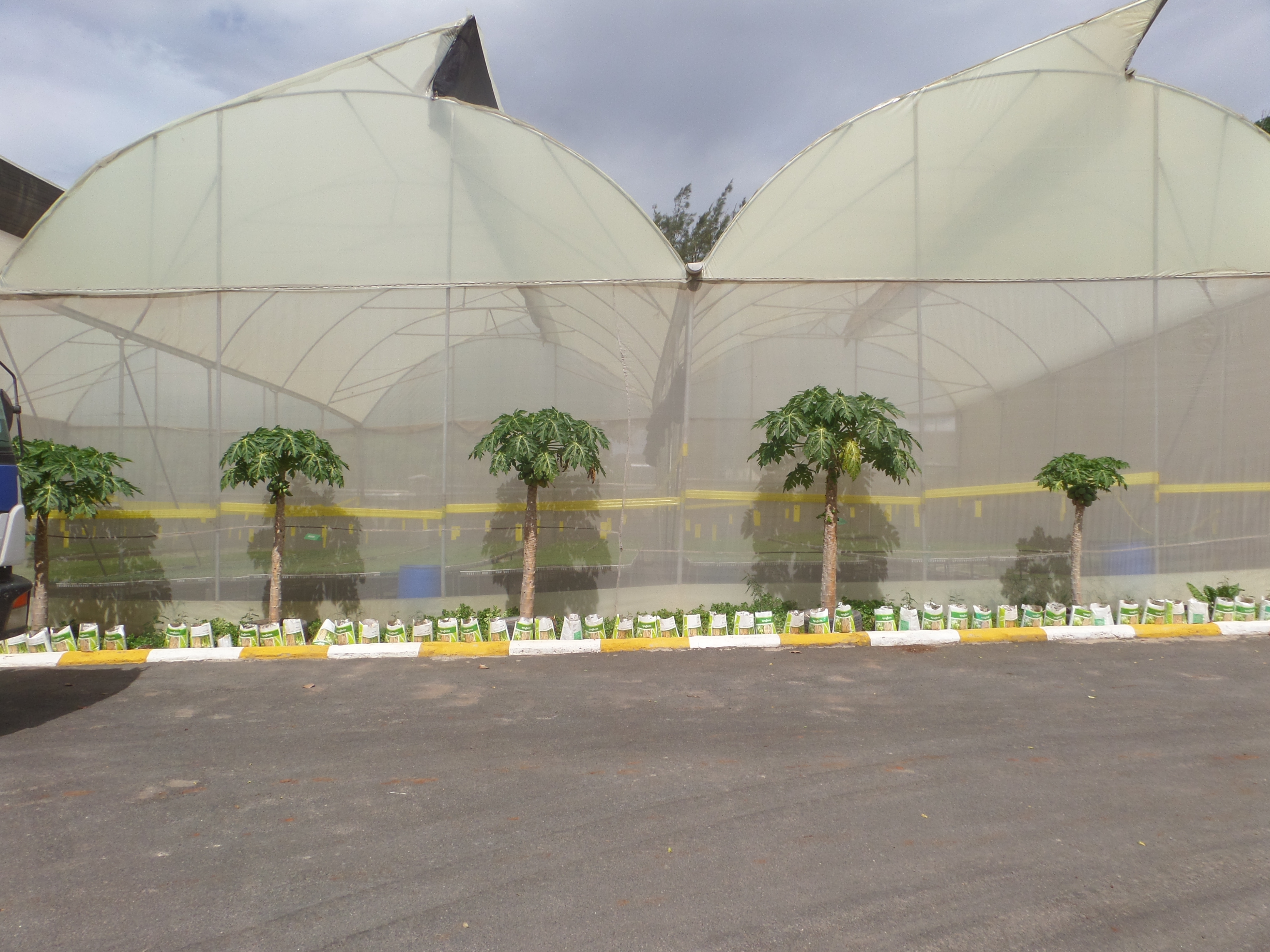 Green House at Royal Seed Complex