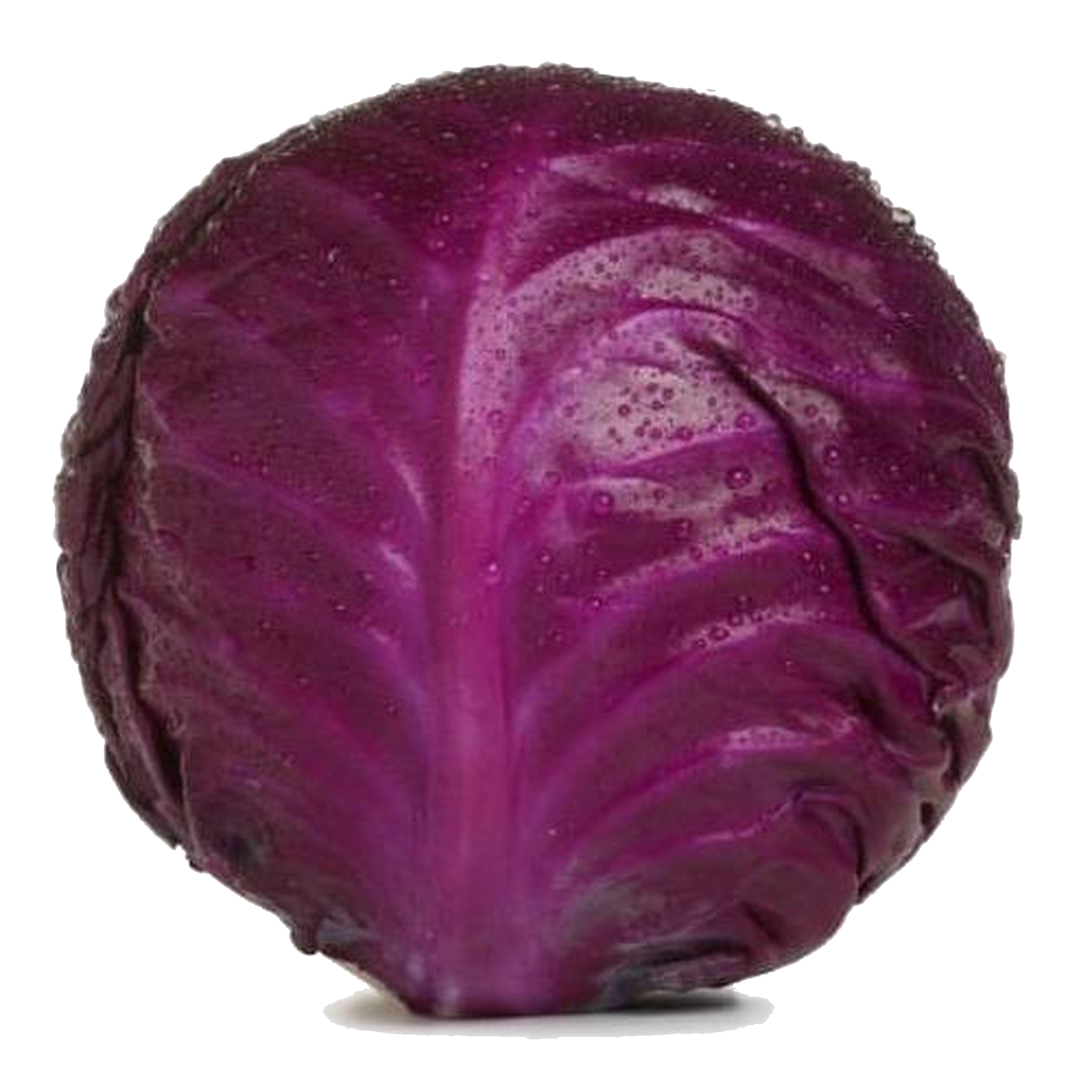 Kifaru F1 cabbage variety from Royal Seed