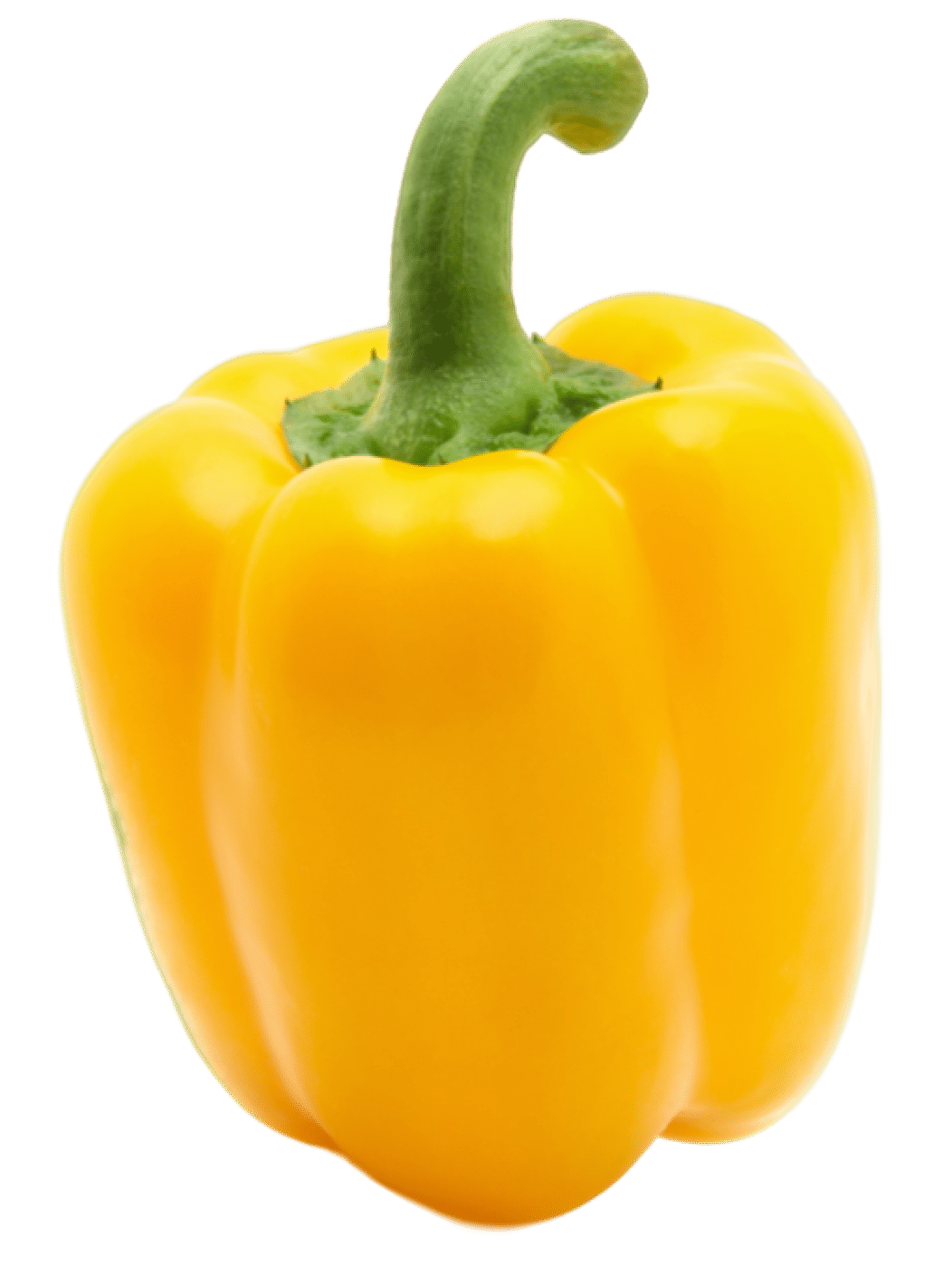 Minerva Sweet pepper variety from Royal Seed