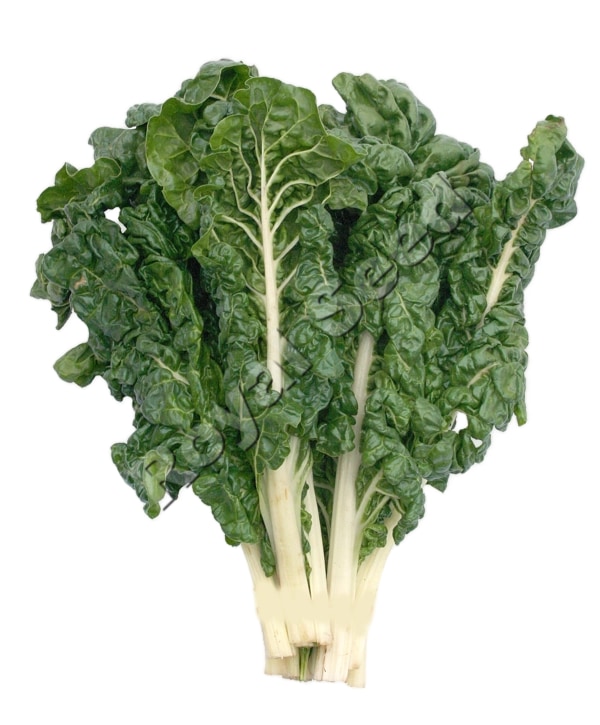Spinach Fordhook leafy variety from Royal Seed