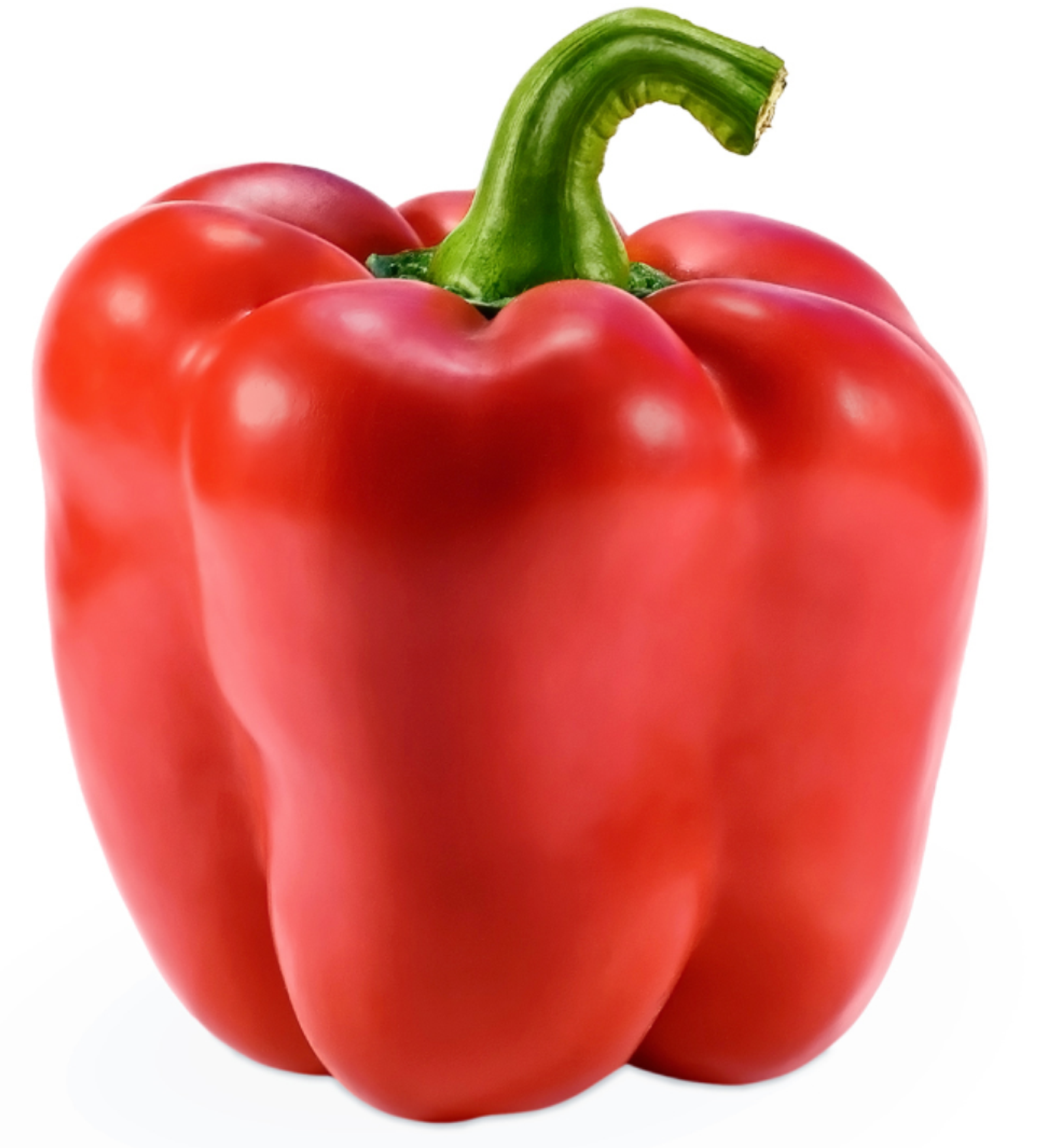 Kori F1 Sweet pepper variety from Royal Seed