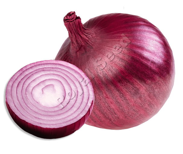 Royal Red Super F1  Variety from Royal Seed’s Latest Range