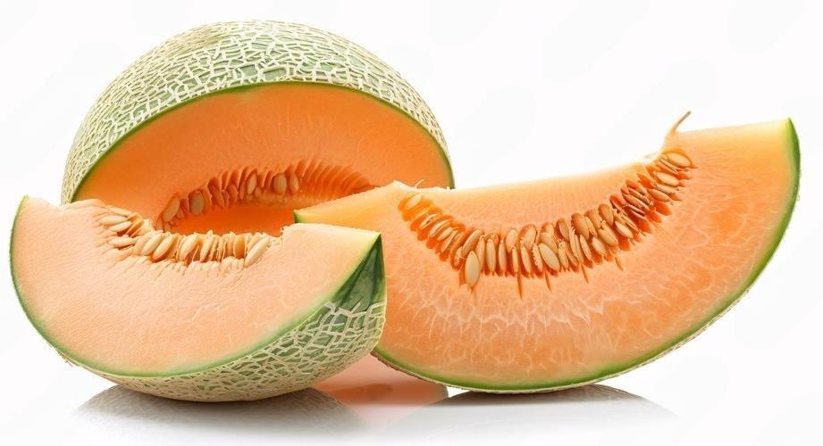 Muskmelon variety from Royal Seed