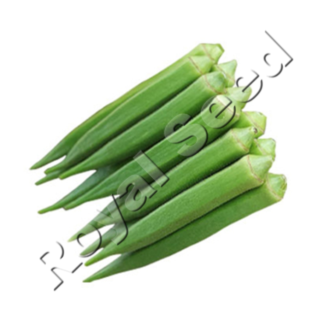 Clemson Spineless okra variety with tender spineless pods from Royal Seed Kenya