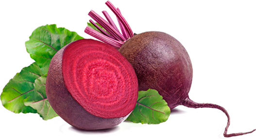 Crimson Globe Beetroot Variety from Royal Seed